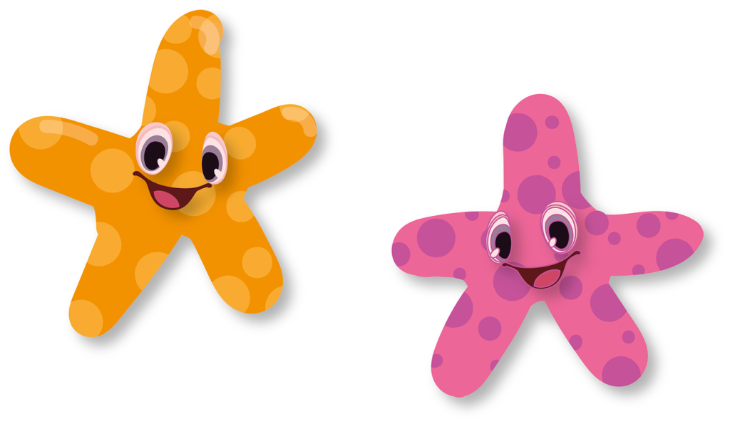 starfish, animal, aquarium-5428452.jpg